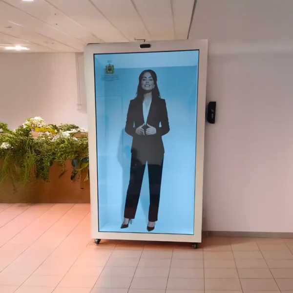Hologramme 3D transparent box au Maroc